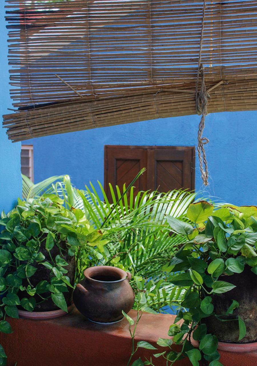 Casa Azul Hotel ซานอากุสตีนีโย ภายนอก รูปภาพ